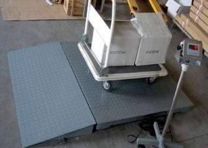 專(zhuān)業(yè)直供 1噸、2噸、3噸電子地磅與配套網(wǎng)絡(luò)技術(shù)服務(wù)，一站式解決方案